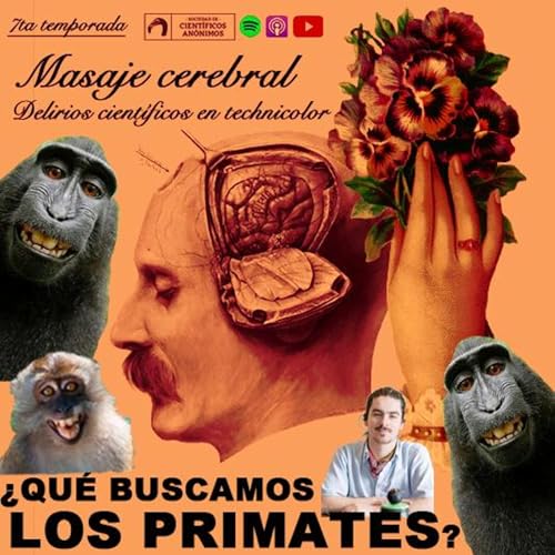 ¿QUÉ BUSCAMOS LOS PRIMATES?