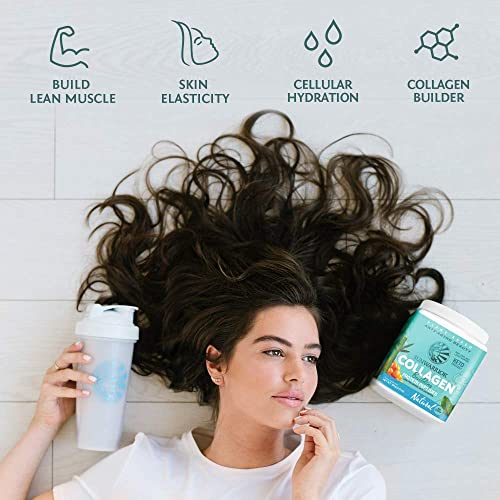 Vegan Collagen Building Powder Protein Peptide with Biotin Vitamin C Hyaluronic Acid Collagen Protein Powder for Hair Skin Nail Dairy Free Gluten Free | Unflavored by Sunwarrior - Thumbnail 3