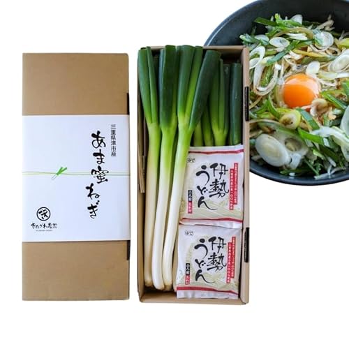 [順次発送]あま蜜ねぎ・伊勢うどんセット[野菜 ねぎ ネギ 長ネギ うどん]