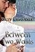 Between Two Worlds (Time Travel Romance)