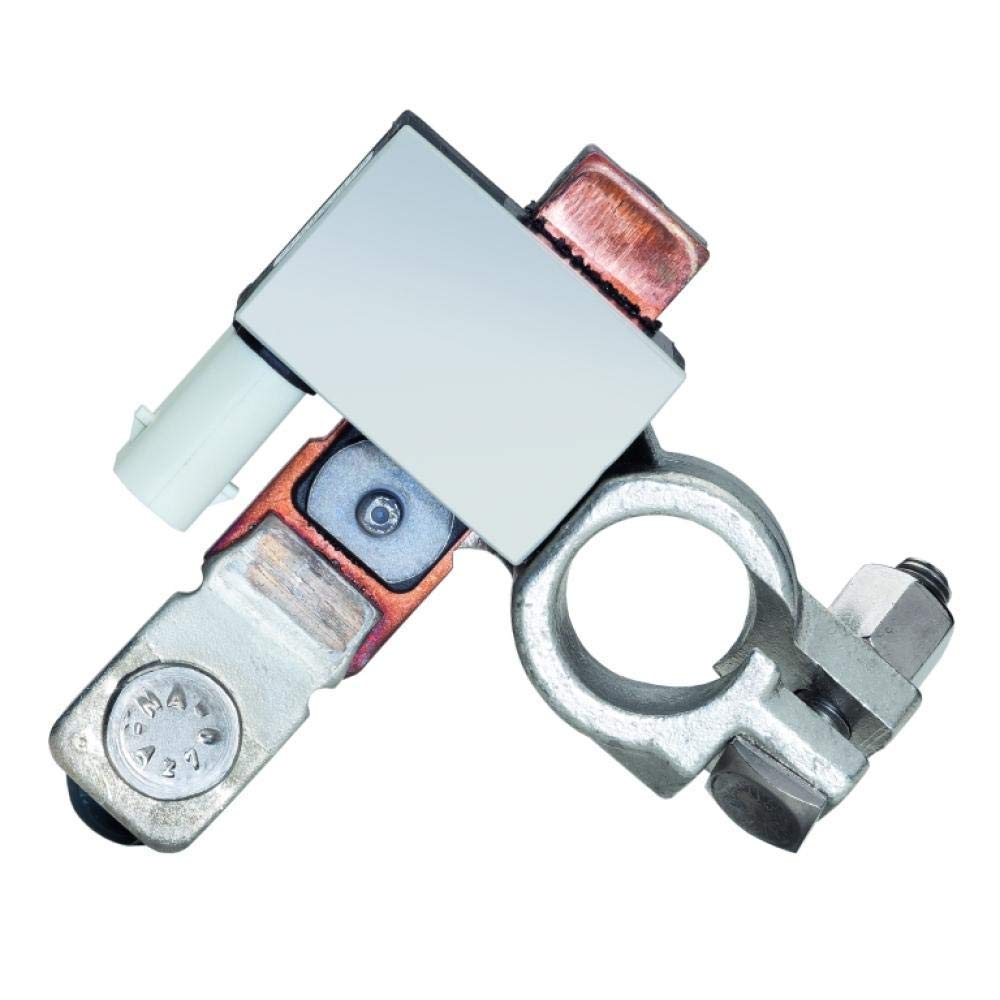 HELLA 6PK 011 700-001 Sensor, control de batería - 24V