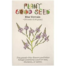Plant Good Seed Organic Blue Vervain Seeds for Planting Cold Hardy Perennial, Purple Flowers - 150 Seed Packet