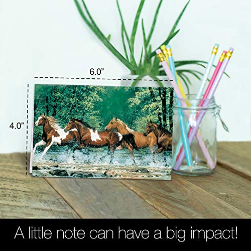 Tree-Free Greetings 12 Pack All Occasion Notecards,Eco Friendly,Made in USA,100% Recycled Paper, 4"x6", Spring Creek Run (FS66525) - Thumbnail 5