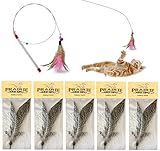 Prairie Horse Supply Replacement Refill Feathers for Da Bird GoCat Toy Feather Teaser Wand Pole Cat Toy (5 pack)