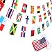 SATINIOR 200 Countries Flags International Flags Olympic World Flags Pennant Banner for Bar, Classroom, Olympic Party Decorations, Sports Clubs, International Events Celebration