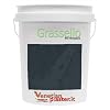 Grassello Authentic Venetian Plaster | Shiny Polished Plaster | Made in Italy from Lime & Marble | Blue Tones (11) | Color: BM2059-40 Yosemite Blue