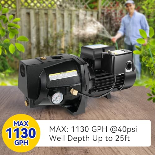 Image of Acquaer Shallow Well Jet Pump,Cast Iron, Well Depth Up to 25ft, 115V /230V Dual Voltage, Automatic Pressure Switch