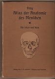Atlas der Anatomie des Menschen-Beschreibung des menschlichen Körpers und der Tätigkeit seiner Organe (Für Schule und Haus)