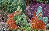 ILLUMINO Gartenstecker Beetstecker Hase Krümel und Schnuffel Rost 2er Set Osterdeko Osterhase aus Edelrost Stahl Gartendeko, Dekofigur Garten, Rost Stecker