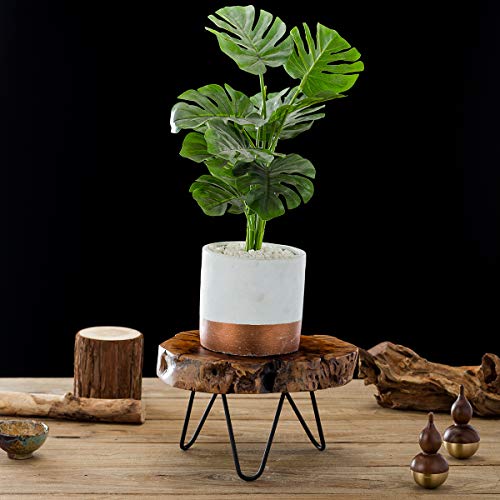 Tj Global Natural Edge Tree Trunk Wooden Stand With Hairpin Legs For Displaying Cakes, Plants, Candles, Decor (L9.5 X W8 X H5.5) #TOP1
