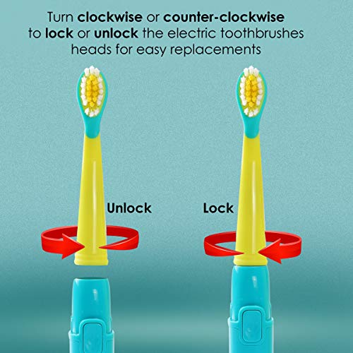 AGARO REX Brush Head Refill Set of 2 Pcs (Blue and Yellow) - Image 5