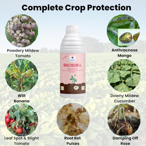 Image of Utkarsh Bacillus Subtilis Biofungicide for Plants | Beneficial Microbes for Root Zone & Soil | Helps Protect from Fungal Diseases | For Home Garden, Terrace & Farms | BaciSub-L (250 ml; Pack of 1)