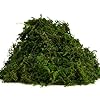 USMOLA Green Moss for Crafts - 4OZ Fake Moss for Indoor Plants, Terrariums, Fairy Gardens & Tabletop Displays | Perfect for Miniature Scenes, Pot Filler & Home Decor Projects #1