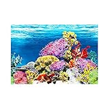 lepidlo na vinylove podlahy Aplicación: este adhesivo de cristal coral es adecuado para cualquier pared limpia y lisa, azulejos, ventanas, metal, armarios, plásticos.