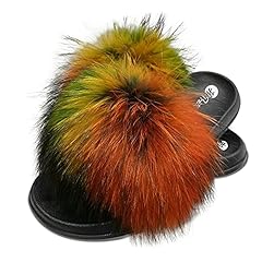 Raccoon Multicolored