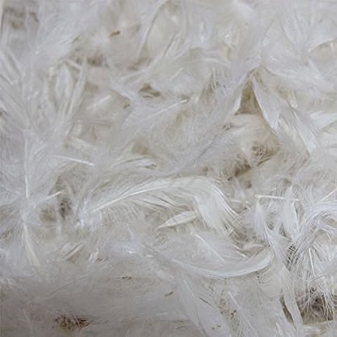 HOMESCAPES Duck Feather Filling for Cushions Cover