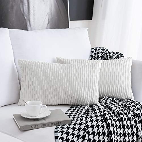 Cushion Covers Set of 2 Decorative Rectangular Square Pillow Case Velvet Modern Pillow Covers for Couch Bed Sofa Chair Bedroom Living Room