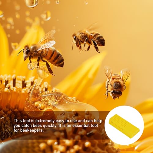 Jecdfs 6 Stück Bienenkönigin Käfige – Versand- und Zusetzkäfige für die Bienenzucht, aus hochwertigem Kunststoff, Imkereizubehör für die Einführung neuer Bienenköniginnen