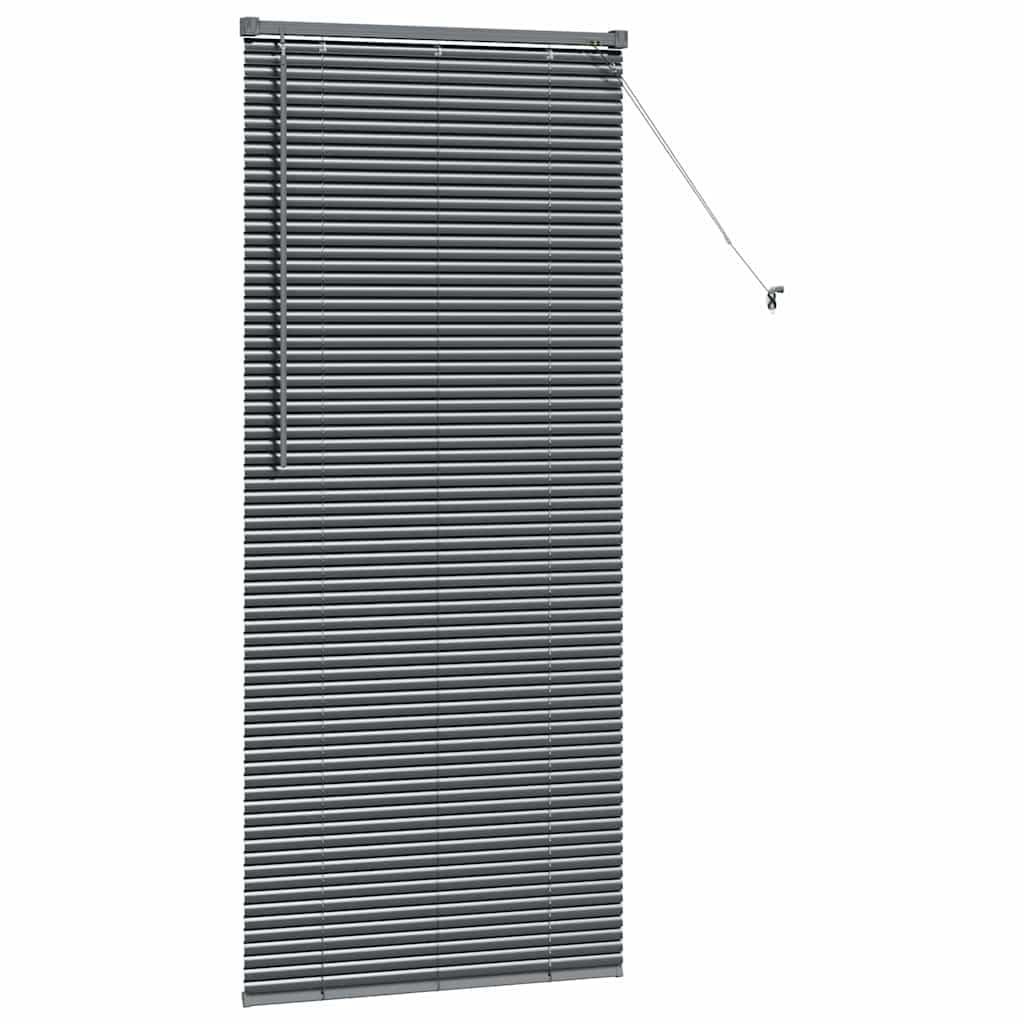 Store Vénitien en Aluminium Gris Foncé 175 x 70 cm, Store Fenêtre Intérieur Ajustable avec Lames Orientables, Cordon de Tirage et Clip de Sécurité pour Salon et Bureau