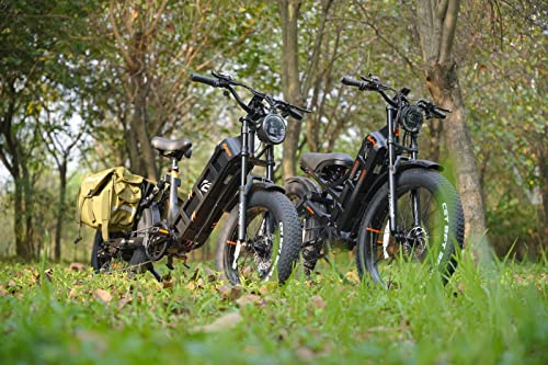 Eahora Romeo Electric Bike 60Ah 1000W Electric Mountain Bike, 120+Miles Long Range 26" Fat Tire Electric Bike, Full Suspension Hydraulic Brakes Adult Electric Bicycles, Ul Certified #TOP1