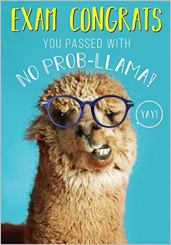 Exam Congratulations Card From the Rapture Range - You Passed with No Prob-llama - Well Done Card