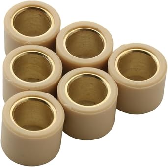 6PC Variator Roller 13g 14g Fit for Eu3 250 250cc 842870 4T21 x 17mm 13g