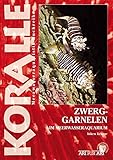  Zwerggarnelen im Meerwasseraquarium: Die Gattungen Gnathophyllum, Halocaridina und andere (Koralle: Meerwasseraquaristik-Buchreihe)