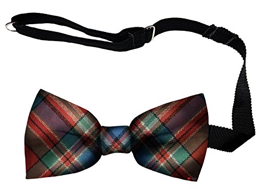 Noeud Papillon en Laine MacFarlane Écosse Idée Cadeau Homme Chic
