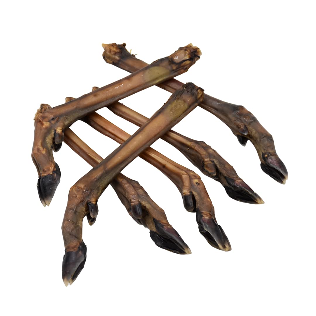 Express Pet Supplies Roe Deer Legs Small | 100% Natural Air-Dried Dog Treat | Small breeds Grain Free (6)