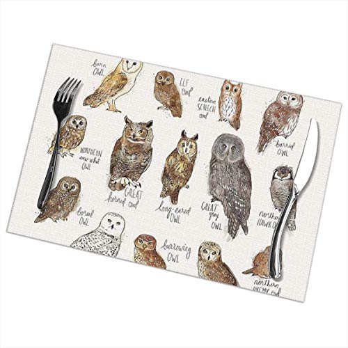 WG[^[O ɓK Xo ɓK KVB 5 2010-2012Np 㕔op[t[h bV GAxg Obh tg[VOO tgOK[h(Yf)