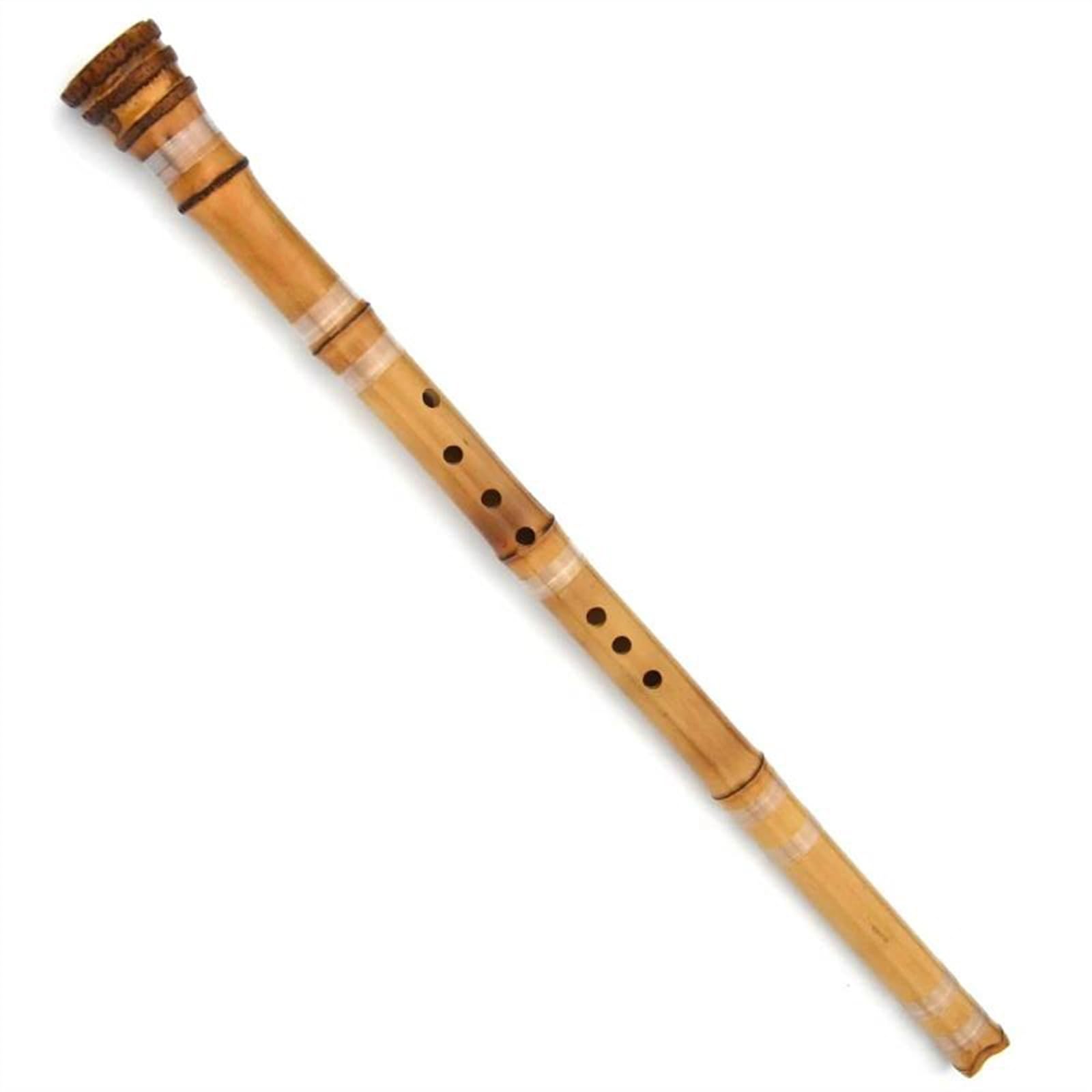 Amazon | タケフルートの器械 中国の竹笛 伝統楽器 プロ仕様