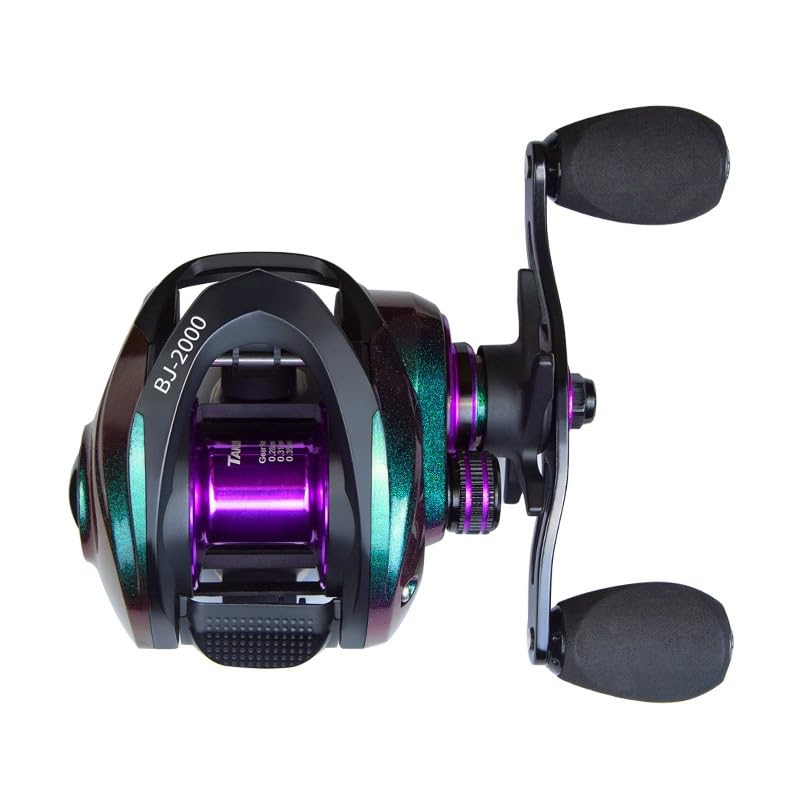 ワクワク　Kadumi CLASS A 20 Ton SHAY TAKUMI-S Baitcasting Reel BJ2000 (Right Hand) : Amazon.co.za