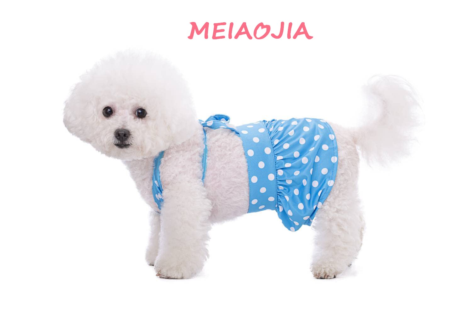 ブラックレースオーダーページ∞TuTu∞ 犬服ハンドメイド犬の洋服