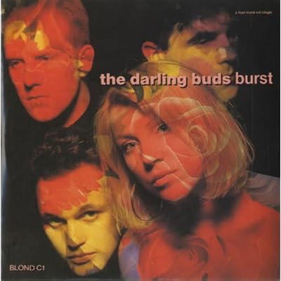 THE DARLING BUDS. BURST. 1988 CD SINGLE IN CARD P/S. BLOND C1.