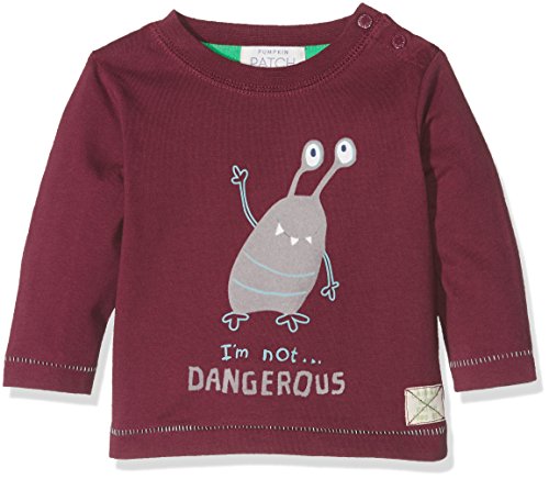 Pumpkin Patch I'm Not Dangerous Tee Polo Bimbo