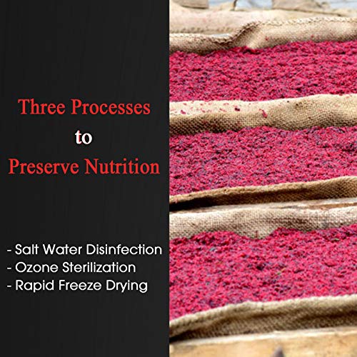 Bnyee Freeze Dried Bloodworms Fish Food thumb #2
