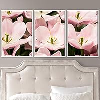 3 Piece Framed Canvas Wall Art Pink Cluster Flowers and Colorful Bouquet Canvas Prints Home Artwork Decoration for Living Room,Bedroom - 16