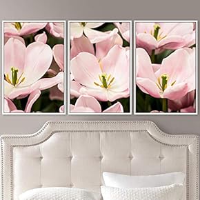 signwin 3 Piece Framed Canvas Wall Art Pink...