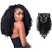 ABH AmazingBeauty Hair 8A Virgin Remy Human Kinkys Clip in Curly Hair Extensions for Women 3C and 4A type for Bantu Knotted, Twisted Out, 120 Gram, Jet Black 1, 16 Inch