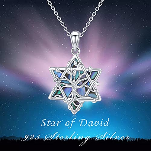 TRISHULA Star of David Necklace 925 Sterling Silver Six-Pointed Star Pendant Religious Lucky Jewish Jewelry Gift for Men Birthday Graduation Christmas Gifts2
