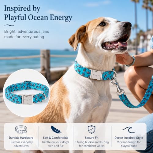 Image of ARING PET Summer Dog Collar for Small Medium Large Boy Dogs-Blue Shark M | Cute Male Heavy Duty Pet Collars with Metal Buckle for XS S M L XL Dogs, for Beach Trips Lake Camping Seaside Outdoor Stroll