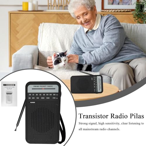 Radio portable et compacte à piles avec haut-parleur sans fil