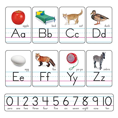 Kit alphabet manuscrit Argus Zaner-Bloser T-721 pour aider l'enfant à écrire