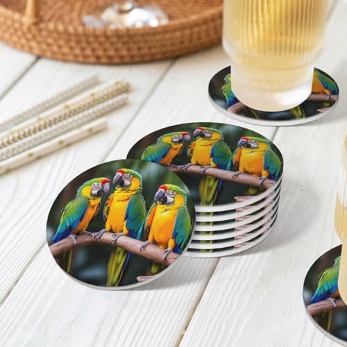 Dessous de verre pour mariage et décoration d'intérieur : le cadeau idéal