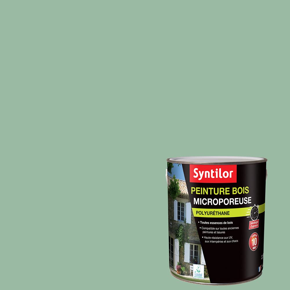Syntilor - Peinture De Rénovation Multi-Supports Gris Béton Satiné 0,75L