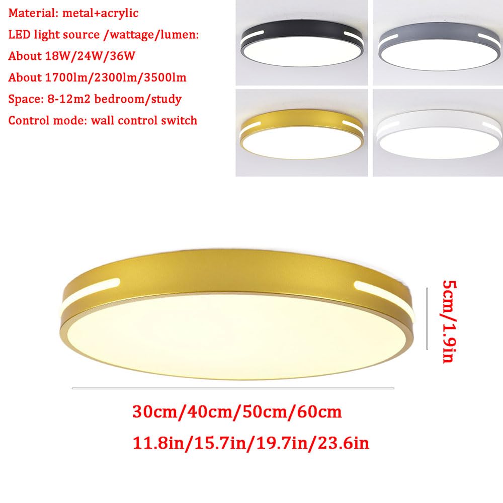 Kolorowe lampy sufitowe Nordic Design Oświetlenie boczne Oświetlenie sufitowe LED o zmiennej intensywności z pilotem Łatwa instalacja do studium balkonu