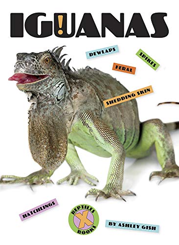 Iguanas (X-Books: Reptiles)