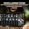 MOOG DFAM Semi-Modular Analog Percussion Synthesizer with 8 Step Sequencer, 24-Point Patch Bay #2