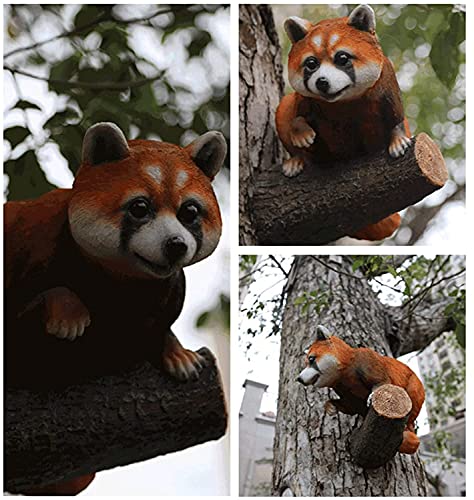 Statue extérieure raton laveur une idée cadeau déco jardin idéal - 2