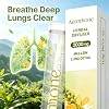 Premium Mullein Herbal Diffuser 2000mg Concentrated Essential Oil Blend with Mullein Peppermint & Other Herbs Portable Mullein Diffuser for Soothing Wellness & Mindful Relaxation